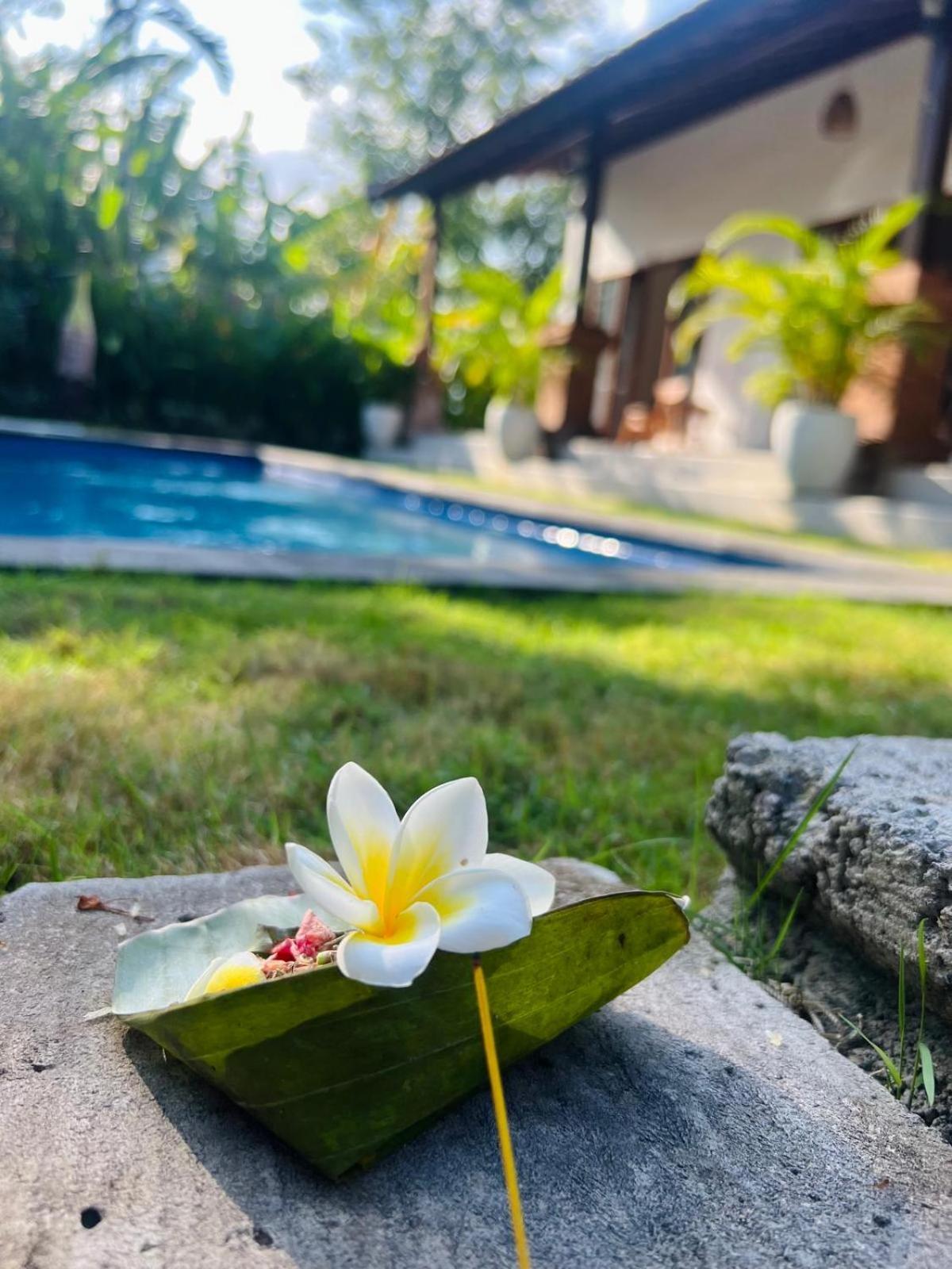 Wiryaroja Guest House Canggu Dış mekan fotoğraf